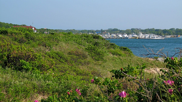 Fort Pond Bay, Montauk, NY