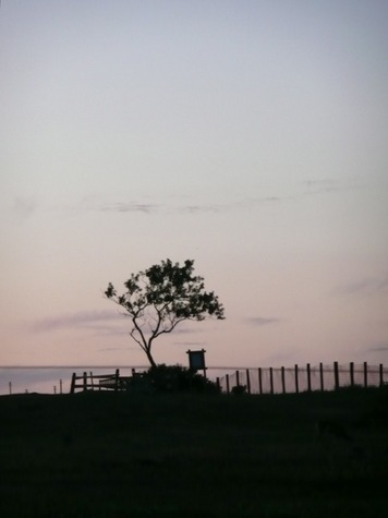 Cemetery, Montauk, New York.