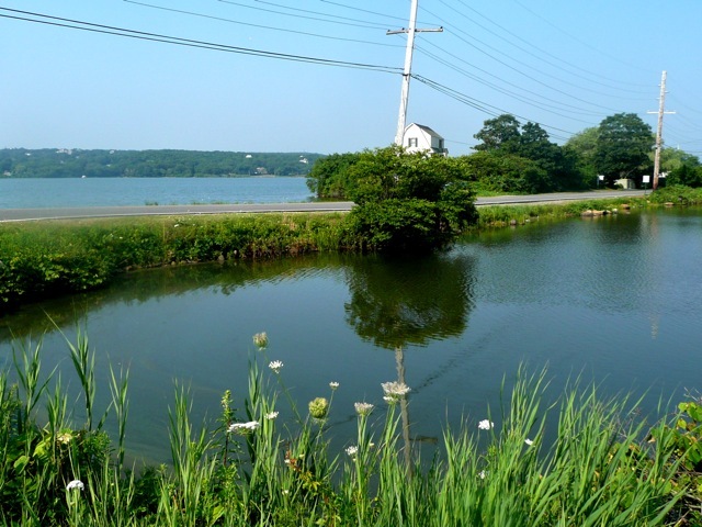 Fort Pond Bay, Montauk, NY